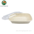 Hot Sale Disposable Sugarcane Bagasse Biodegradable Food Box